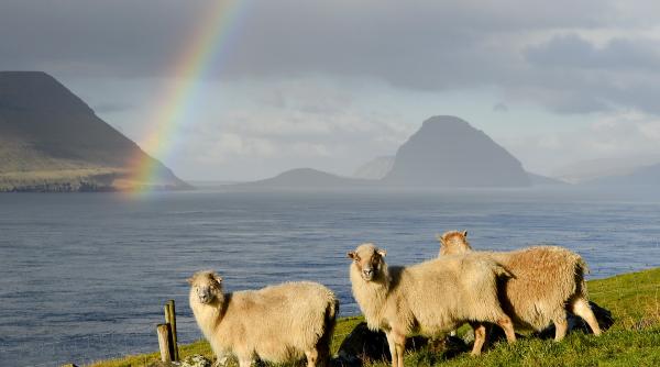 galerie foto toamna pe mapamond