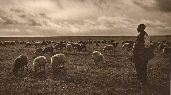 lucinul zeul protector al lupilor