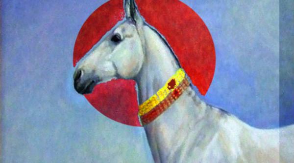 video plurabelle prezinta la dianei 4 o sesiune live de muzica electronica