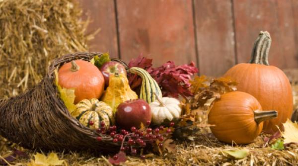 dovleacul medicament si aliment in sezonul rece