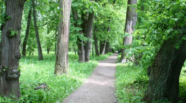 descoperire macabra in polonia 12 cadavre furate din germania gasite intr o padure