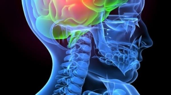 experientele negative si impactul asupra creierului