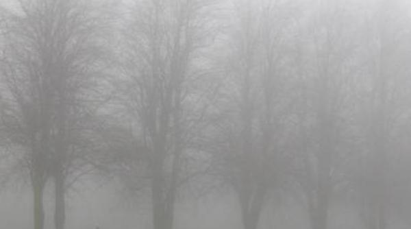 avertizari de ceata pentru mai multe judete din transilvania si din banat