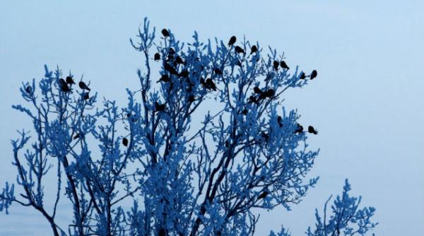 temperaturi de 6 grade celsius la miercurea ciuc