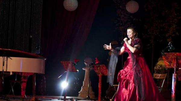 crizantema de aur o romanta fara de sfarsit