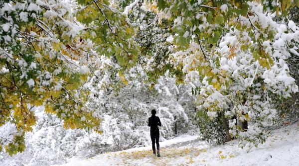 29 octombrie 2012 imaginile zilei