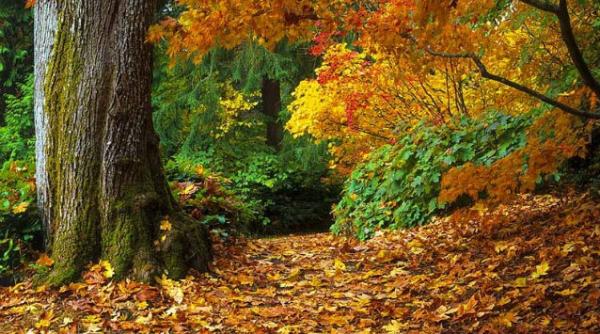 vesti bune de la meteorologi vremea se incalzeste incepand de miercuri