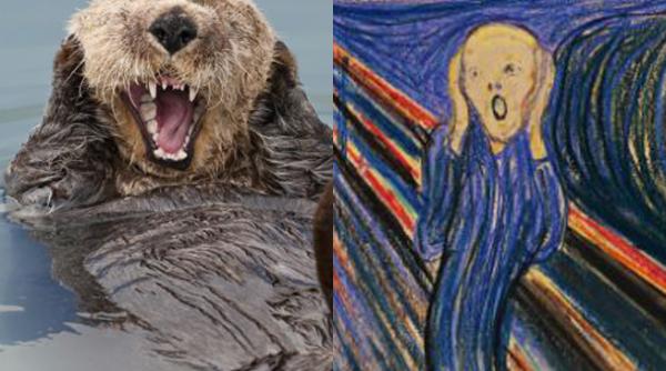 foto ce au in comun o vidra de mare si tipatul lui munch