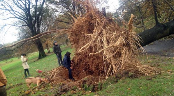 bilant dezastruos sua uraganul sandy 50 de morti sute de mii de evacuati 8 milioane de oameni in bezna