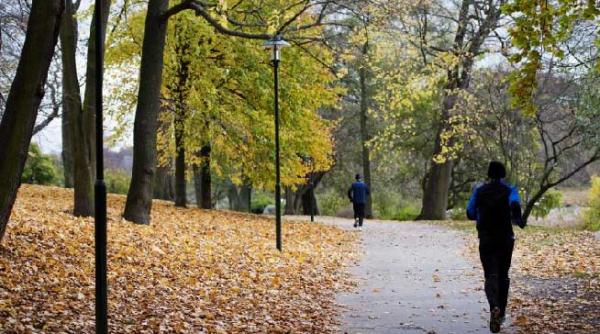 prognoza meteo vezi cum va fi vremea in urmatoarele zile