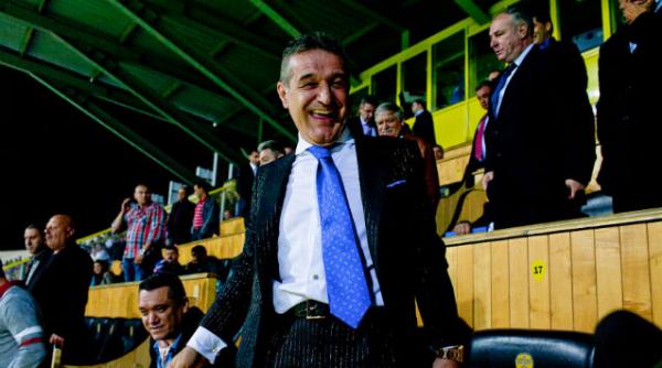 averea lui gigi becali candidat pnl 386 de hectare de teren si peste 56 de milioane de euro imprumutati