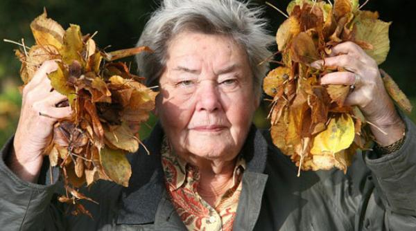 o bunica risca sa ajunga 12 luni la inchisoare pentru ca a maturat frunzele din curtea ei