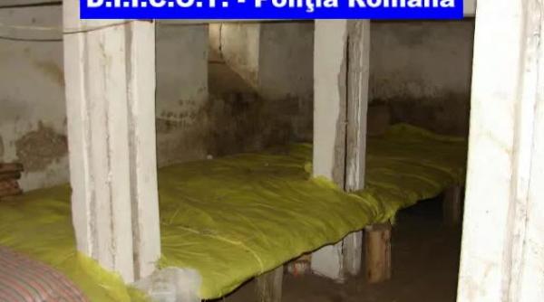 opt copii si 17 adulti sclavi intr un sat din covasna