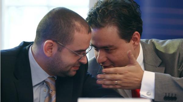 horia georgescu candidati parlamentare incompatibili