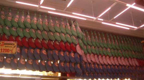 museo del jamon