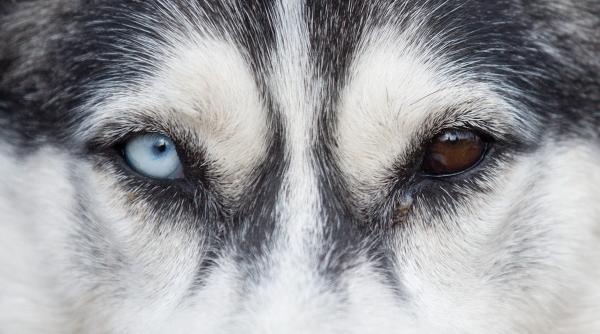 4 noiembrie 2012 imaginile zilei