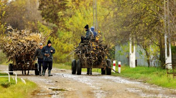 vremea se raceste accentuat pana joi in banat crisana maramures si la munte vezi prognoza anm pentru urmatoarele doua saptamani