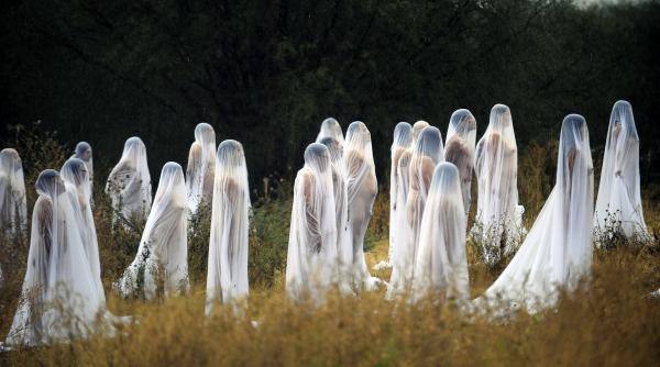 6 noiembrie 2012 imaginile zilei