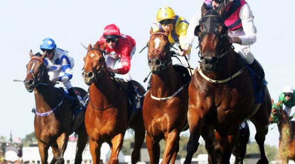 cel mai baban pariu din istorie a avut o cota de aproape un milion dar a castigat decat 77 000 de dolari