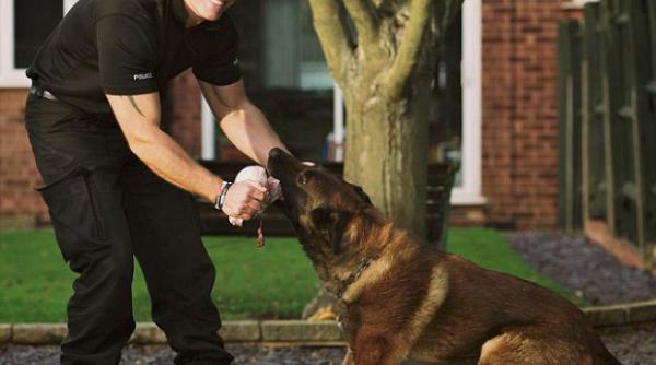janus cainele care a realizat 440 de arestari in 4 ani iese la pensie