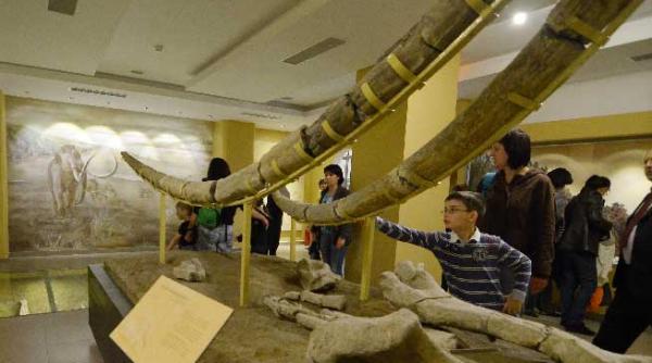 rezervatiile naturale din tinuturile sucevei