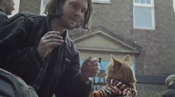 video povestea emotionanta a motanului bob