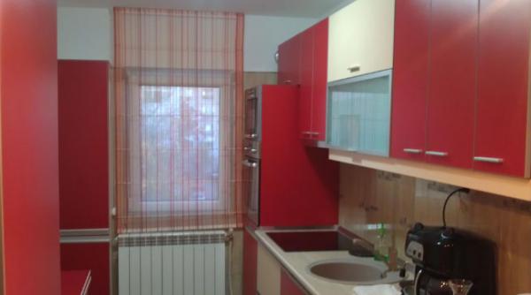 elena udrea a postat pe facebook imagini cu apartamentul ei din roman