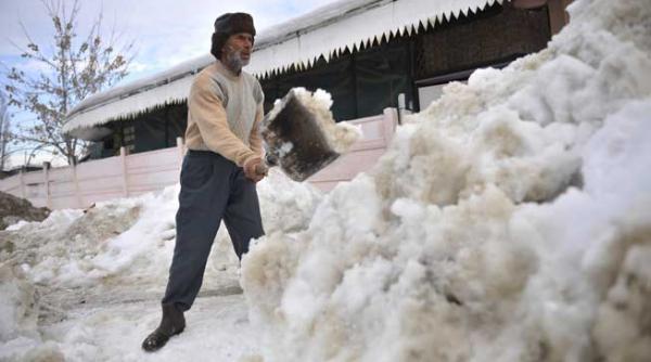 oferta munca germania austria deszapezire