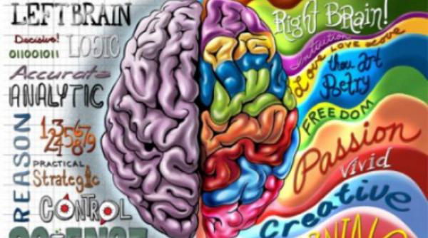 testul pe care creierul nu te lasa sa il faci