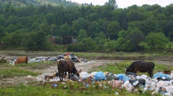 durerea in gaoaza de la palatul cotroceni