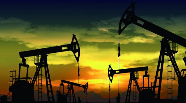 cei 200 care scormonesc pamantul romaniei ce rezerve mai avem in sol si subsol