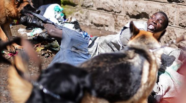 20 noiembrie 2012 imaginile zilei