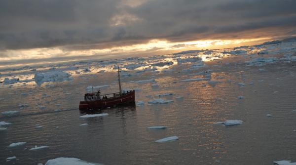 rasa umana ar putea pieri in cateva zeci de ani