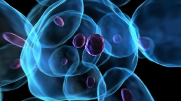 ce legatura exista intre locul de munca si cancer