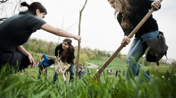 400 de copaci plantati in satul poroschia in cadrul saptamanii globale de voluntariat a hilton worldwide