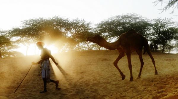 23 noiembrie 2013 imaginile zilei