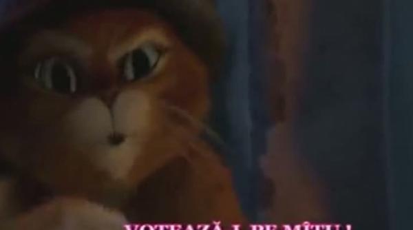 alegeri parlamentare 2012 clipuri electorale ridicole cu bebelusi si motanul incaltat video