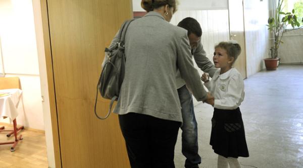 amenda profesori respect elevi