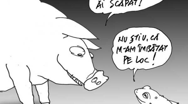 caricatura zilei 30 noiembrie 2012