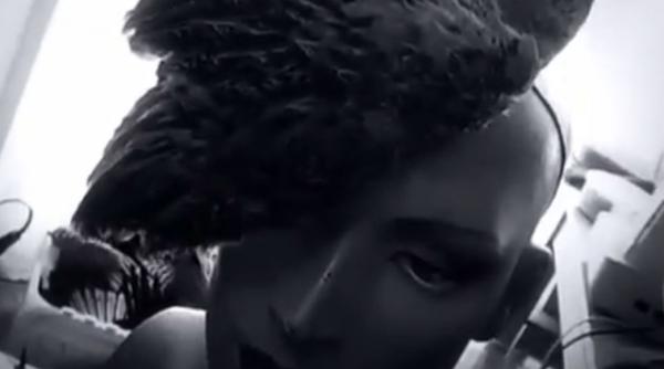 video colectie de haine realizate dein blana animalelor penele pasarilor chiar si dintr o cutie toracica umana