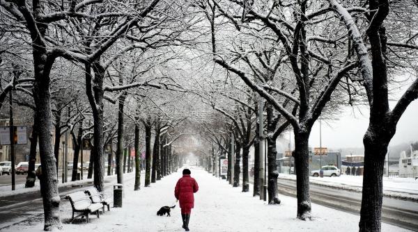 30 noiembrie 2012 imaginile zilei