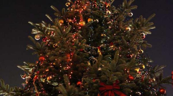 bradul de craciun pentru persoanele cu dizabilitati