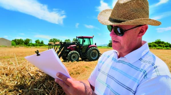 chilipiruri de la executari silite ferme brutarii mezelarii cumpara i acum