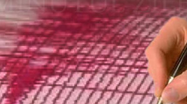 cutremur de 4 8 grade in marea neagra seismul a fost resimtit si la constanta