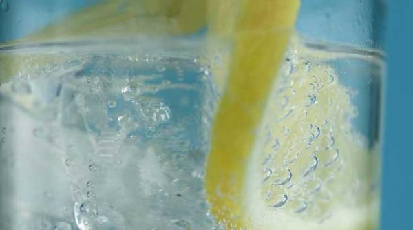 microbii din felia de lamaie lista de bucate solnita si caruciorul de la supermarket