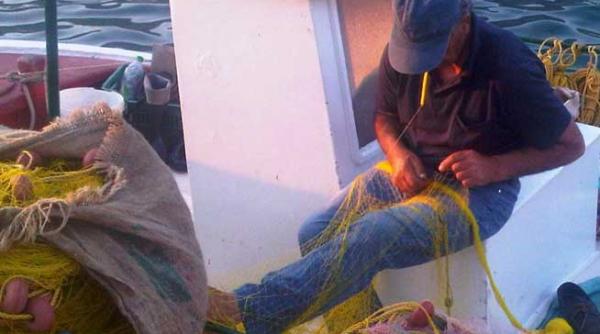 fresca psaria fresca psaria