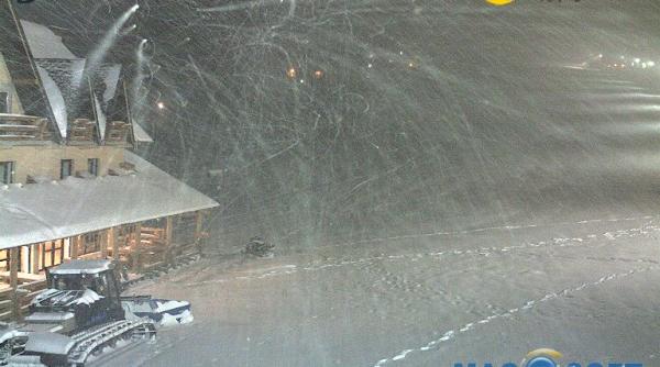 viscol la ranca urrmareste live dezlantuirea naturii