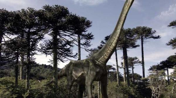 dinozaurii disparusera deja cand meteoritul a lovit terra cum au disparut de fapt gigantii
