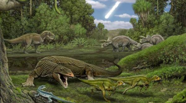 obamadon barack obama soparla