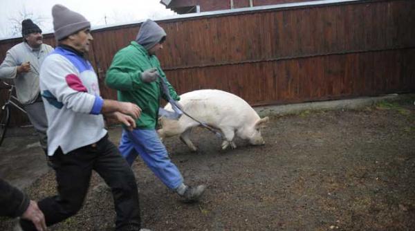 romanii achizitioneaza produsele traditionale de craciun